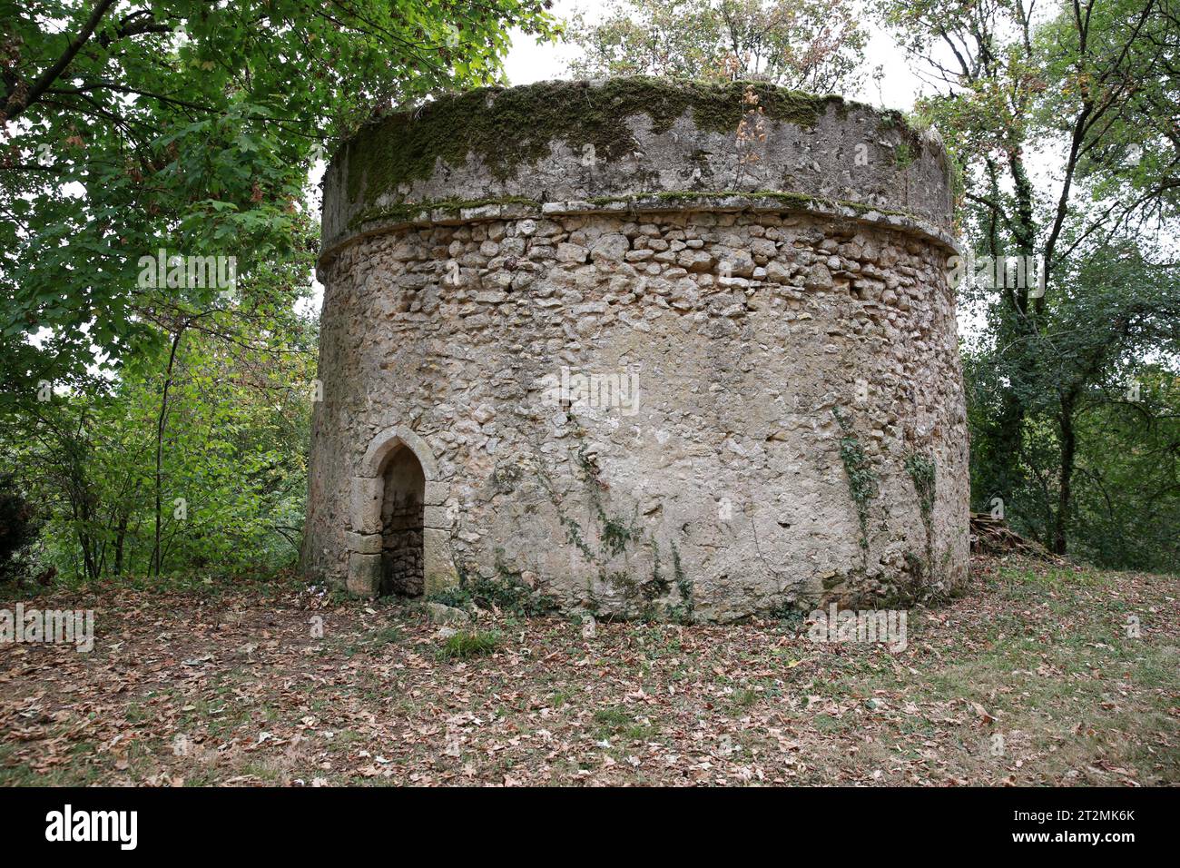 Chateau de Pruniers Stock Photo