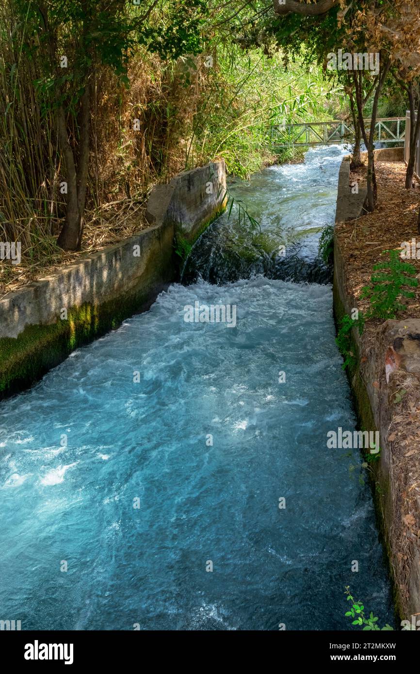 Tributary  Urdu Meaning of Tributary