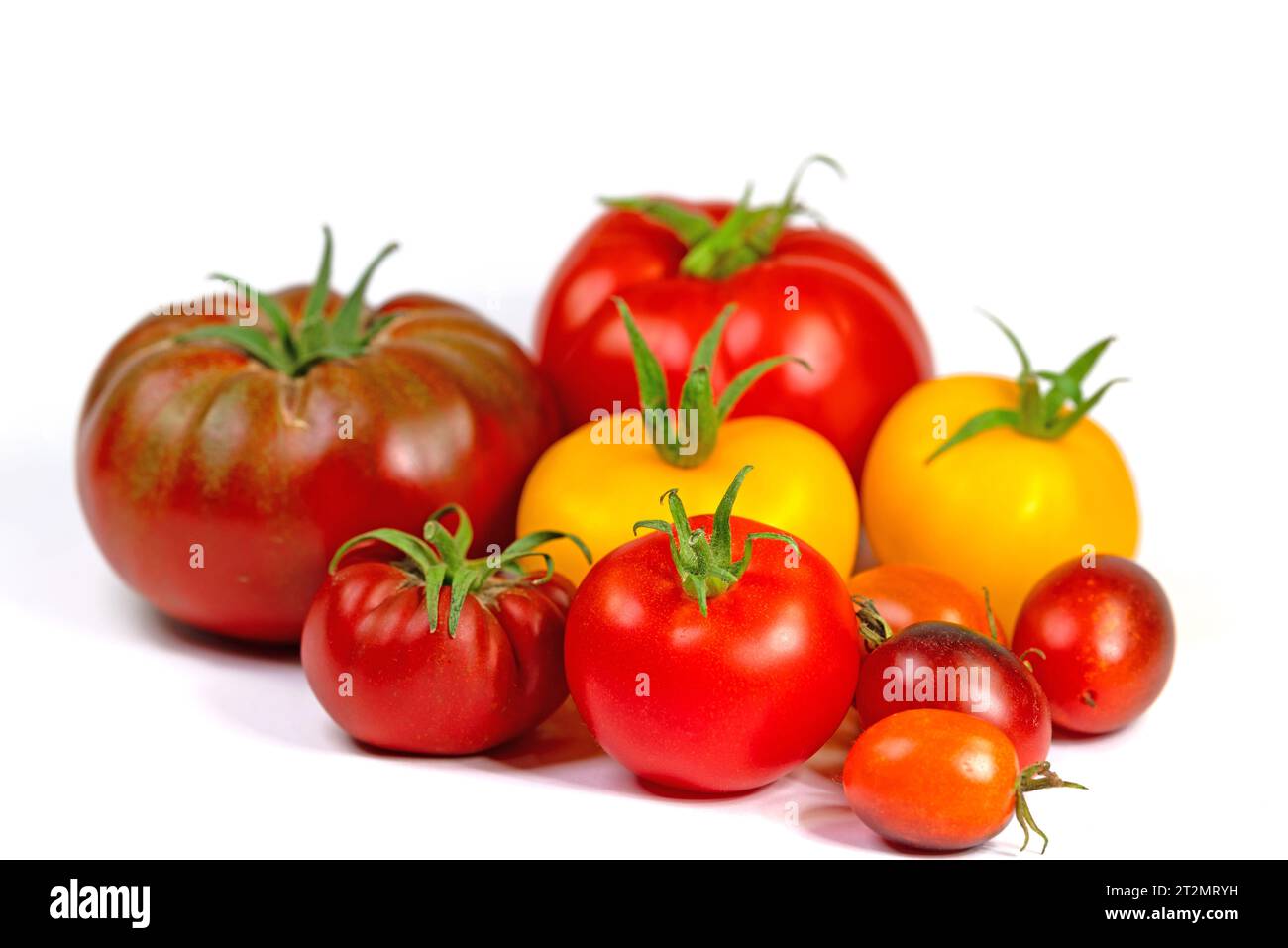 Various red and yellow tomatoes against white background Stock Photo ...