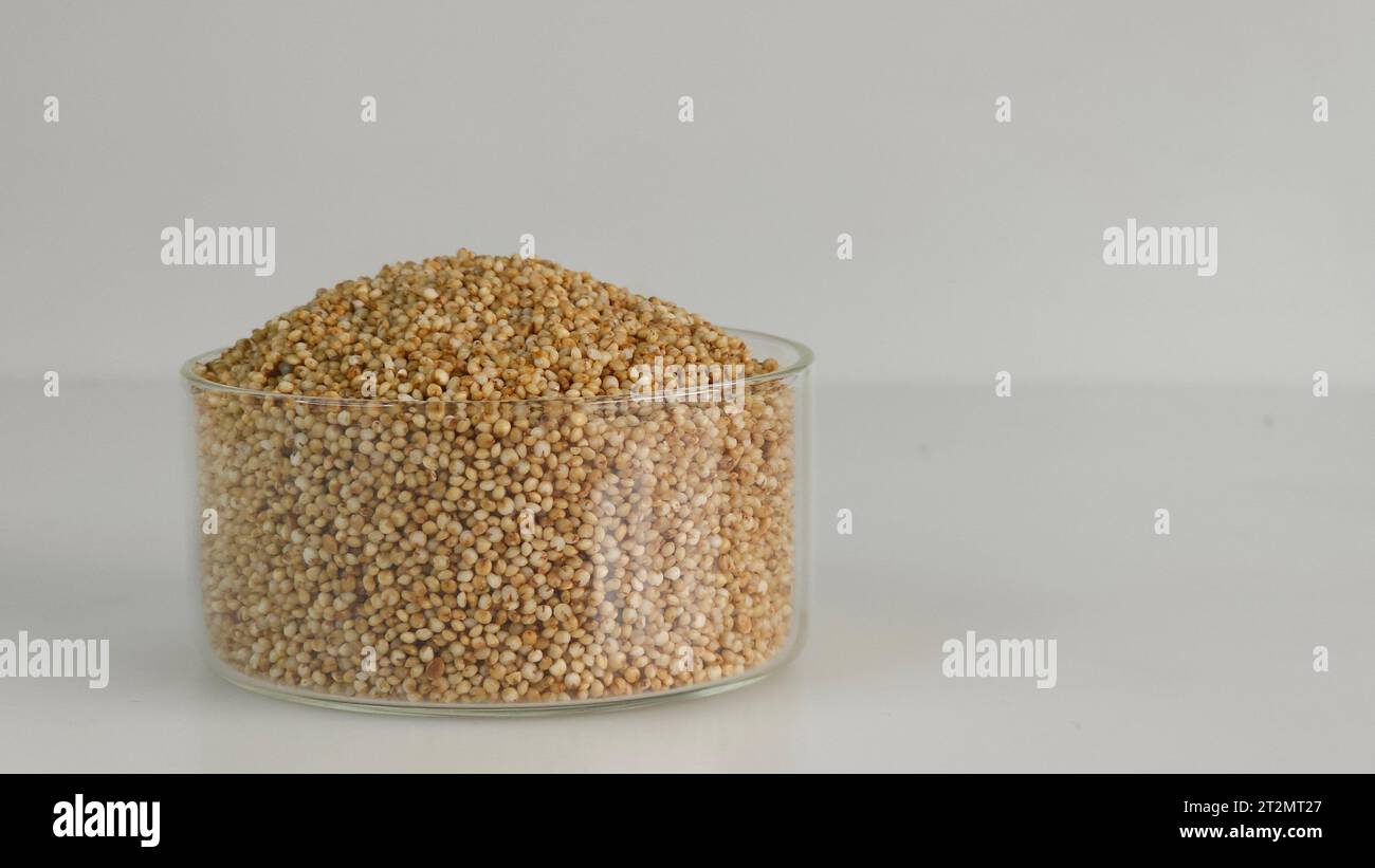 Closeup of kodo millet, a healthy grain, in a glass bowl filled to the brim, highlighting their wholesome and nutritious appeal. Perfect for food and Stock Photo