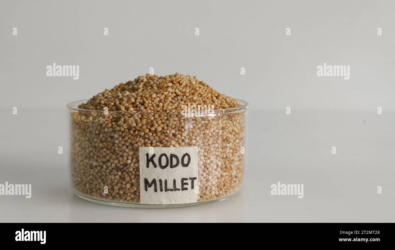 Closeup of kodo millet, a healthy grain, in a glass bowl with label on it filled to the brim, highlighting their wholesome and nutritious appeal. Perf Stock Photo