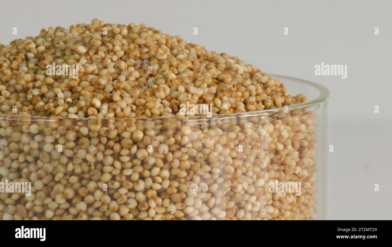 Closeup of kodo millet, a healthy grain highlighting their wholesome and nutritious appeal. Perfect for food and health related concepts. Stock Photo