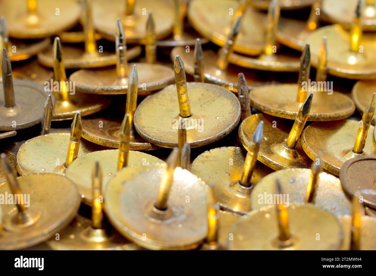 Close up of a random cluster of brass drawing pins, push pins or thumb tacks, the points all facing upwards. Stock Photo
