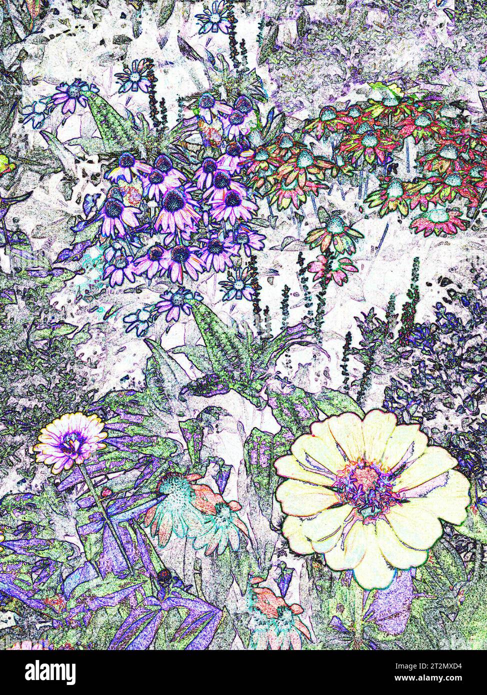 Printable flowers hi-res stock photography and images - Alamy