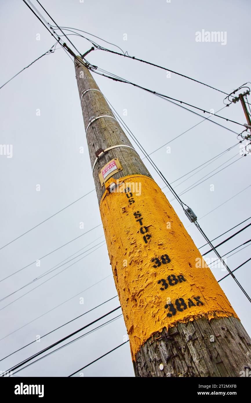 Telephone pole with yellow patch of paint and view of wires