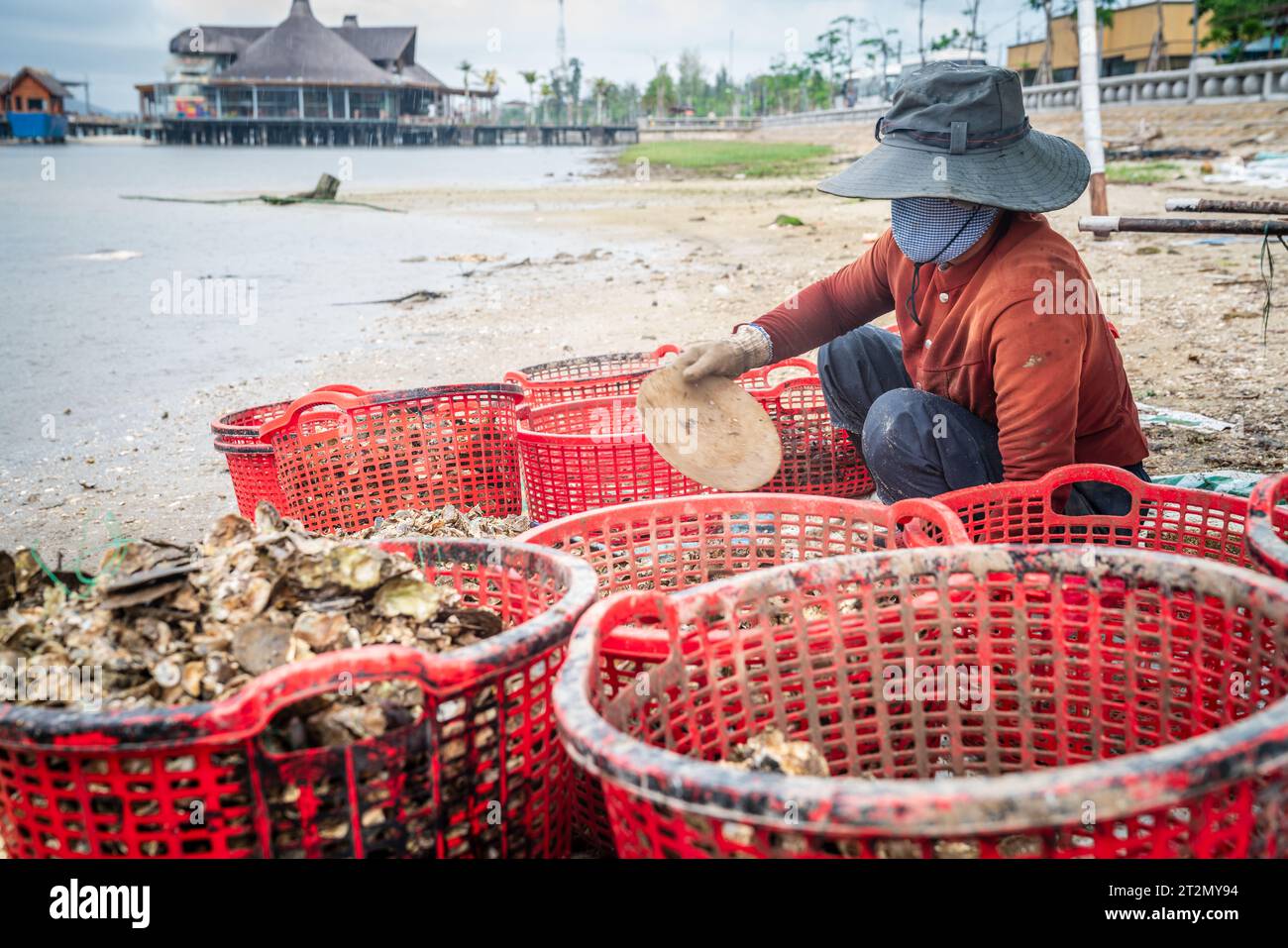 Central Vietnam, November 19, 2022: Fisherman is sorting morning catch of clams on the shore of the Tam Giang–Cau Hai lagoon in Central Vietnam Stock Photo