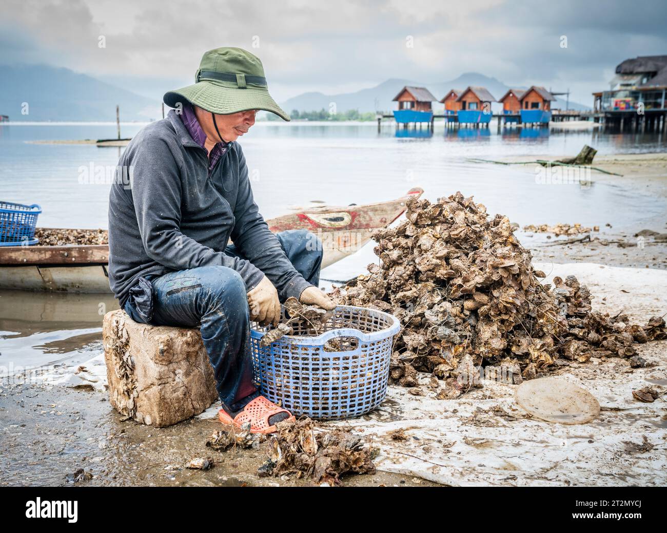 Central Vietnam, November 19, 2022: Fisherman is sorting morning catch of clams on the shore of the Tam Giang–Cau Hai lagoon in Central Vietnam Stock Photo