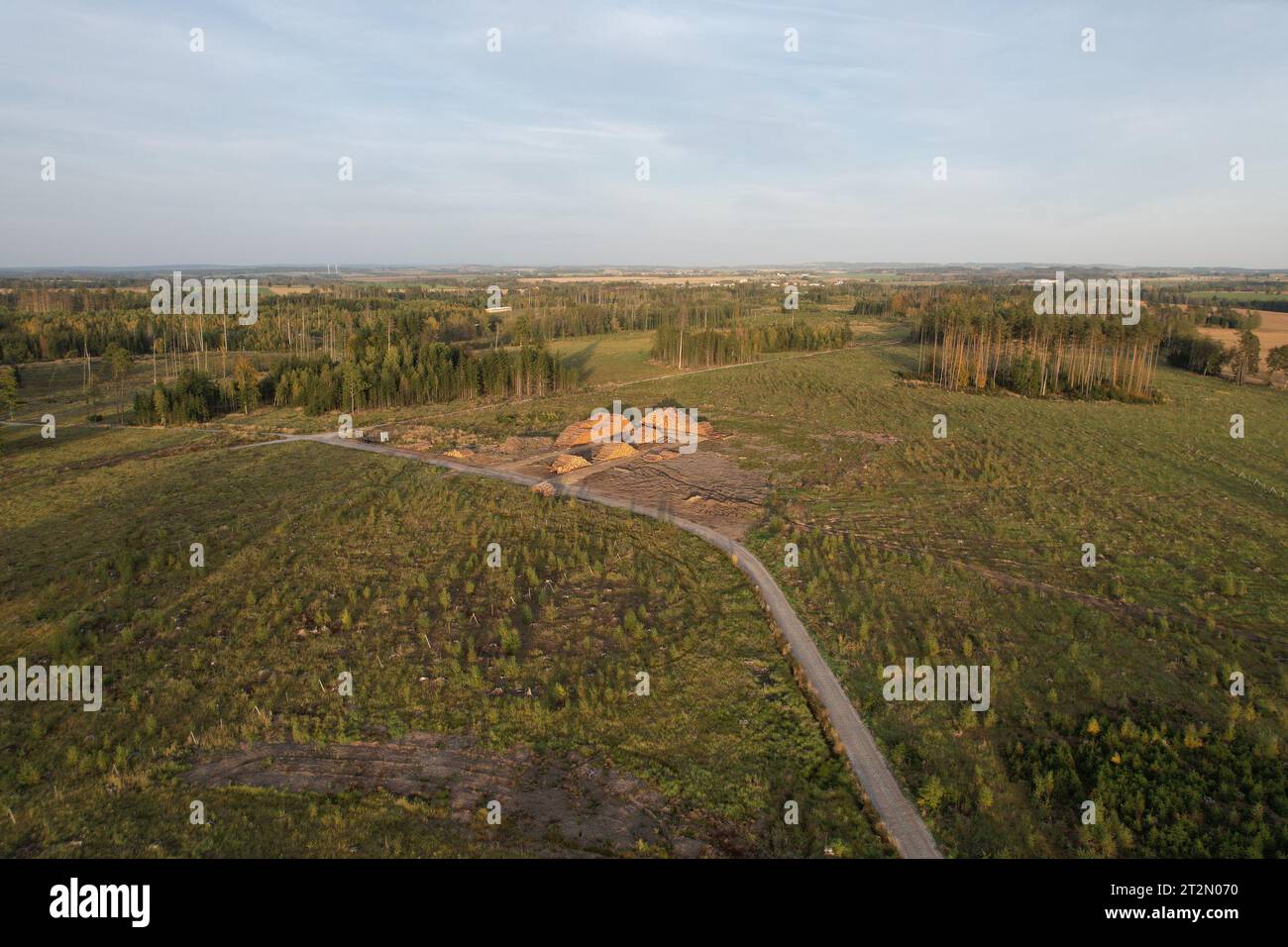 wood industry cut wood.Heavy machinery moving Piles of logs.The