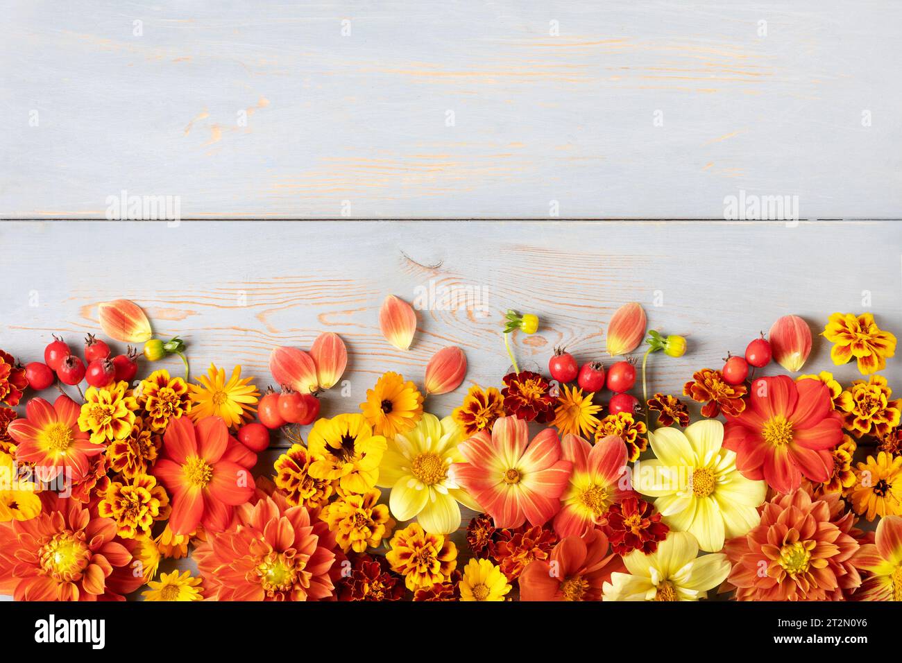 北川景子MUSICUS! Special Single “Autumn” Dr.Flower OVERDRIVE PS4 SWITCH 瀬戸口廉也 唐辺葉介 CARNIVAL SWAN SONG キラ☆キラ その他