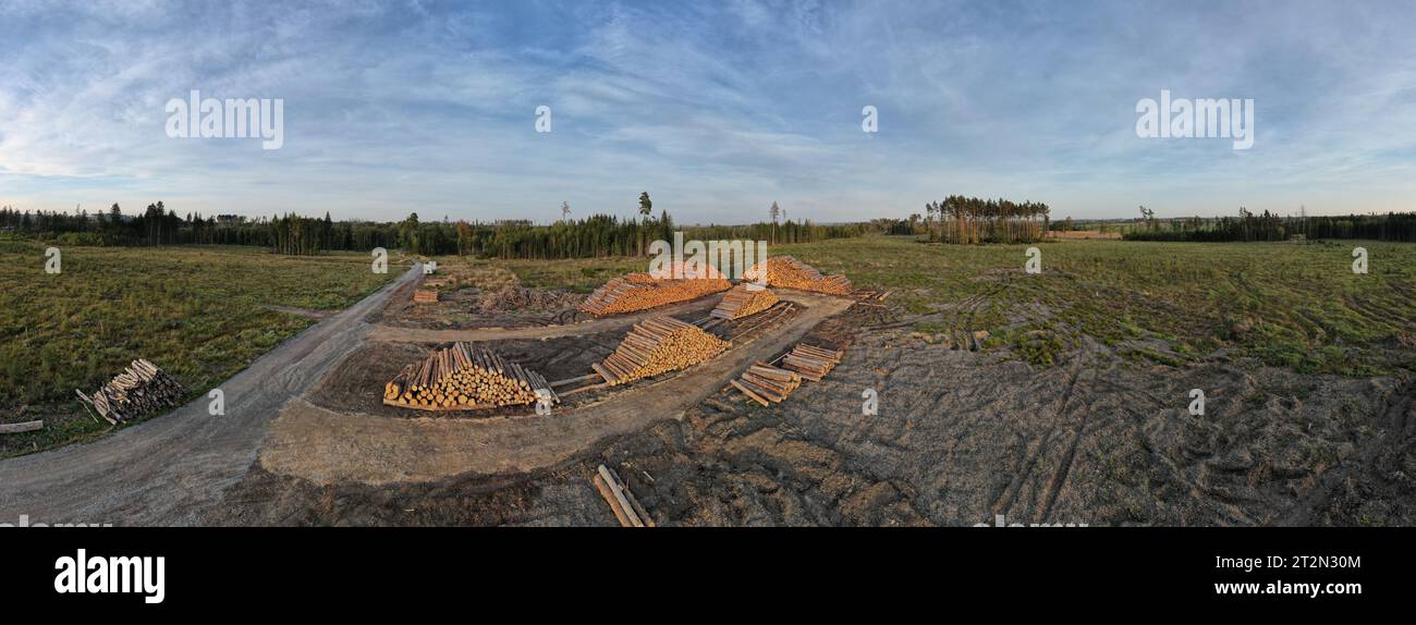 wood industry cut wood.Heavy machinery moving Piles of logs.The