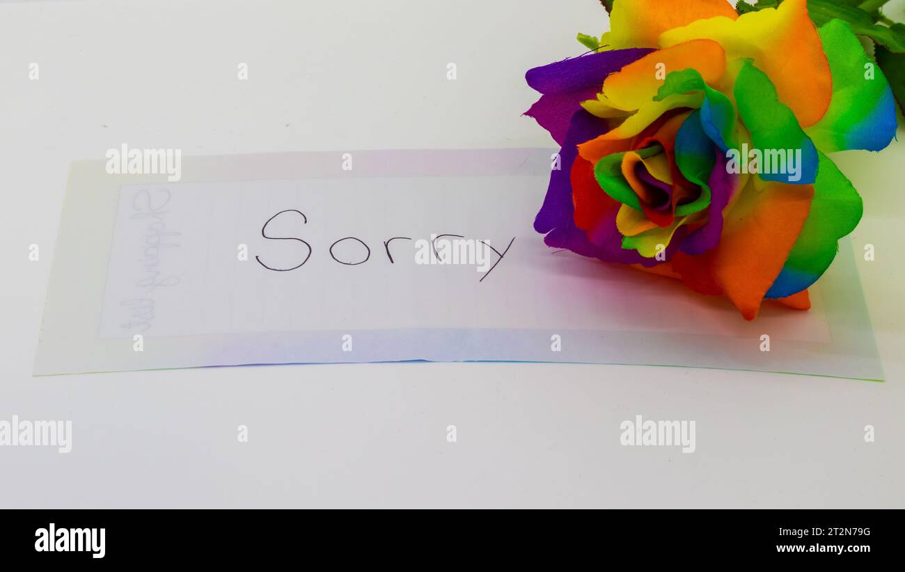 Sorry handwritten note with a rose on white background Stock Photo