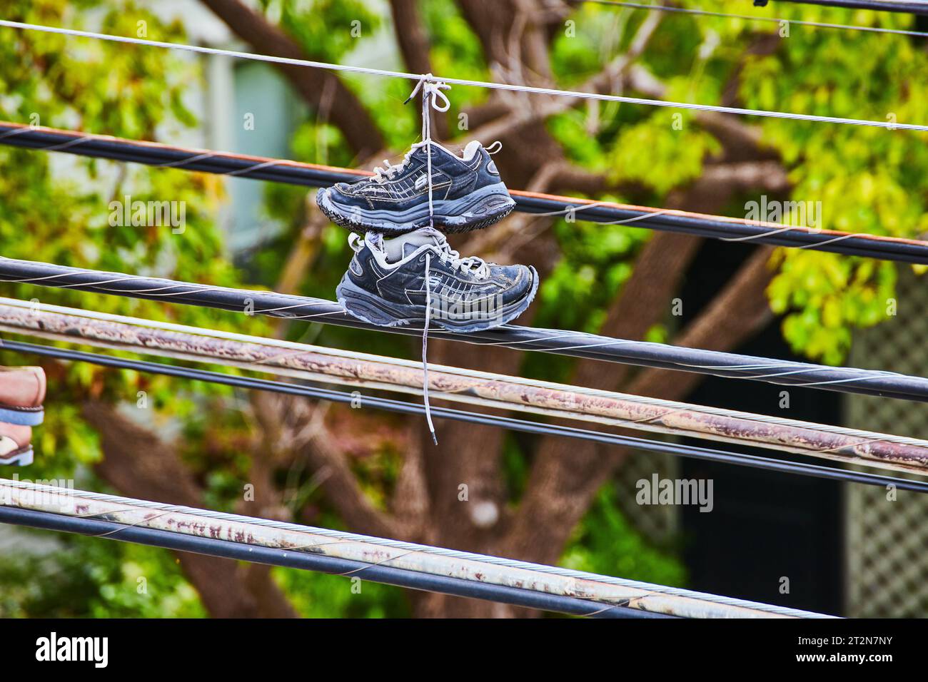 Black and blue tennis shoes with laces tied together hanging from a