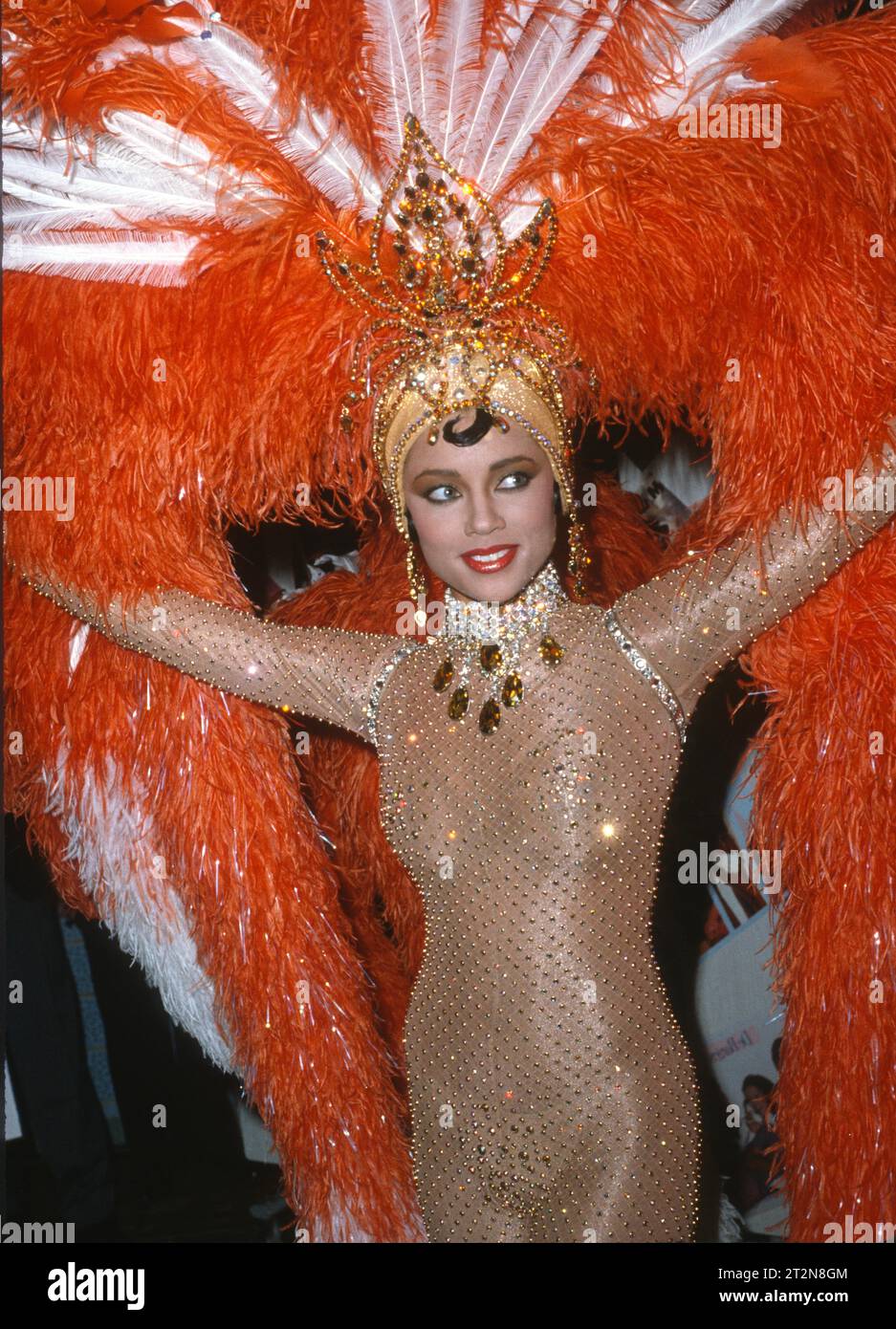 1985 Vanessa Williams John Barrett/PHOTOlink.net Stock Photo