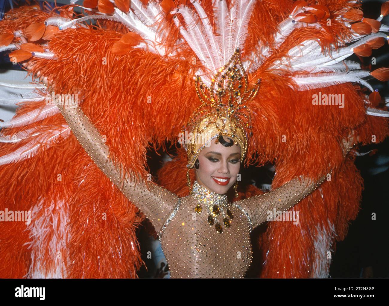 1985 Vanessa Williams John Barrett/PHOTOlink.net Stock Photo