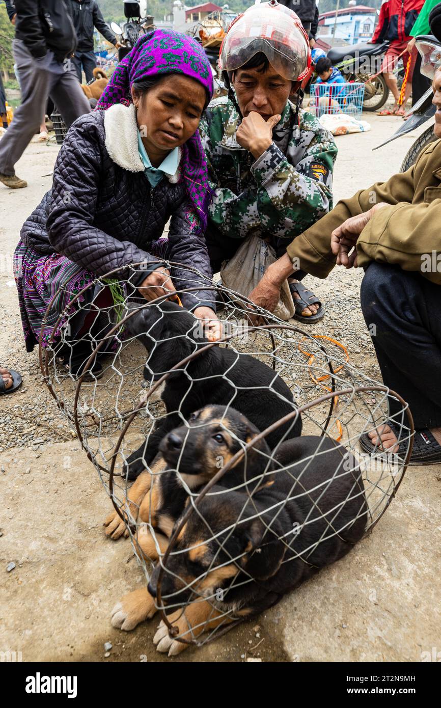 Puppies for sale at the Farmers Bac Ha Farmers Market in North Vietnam