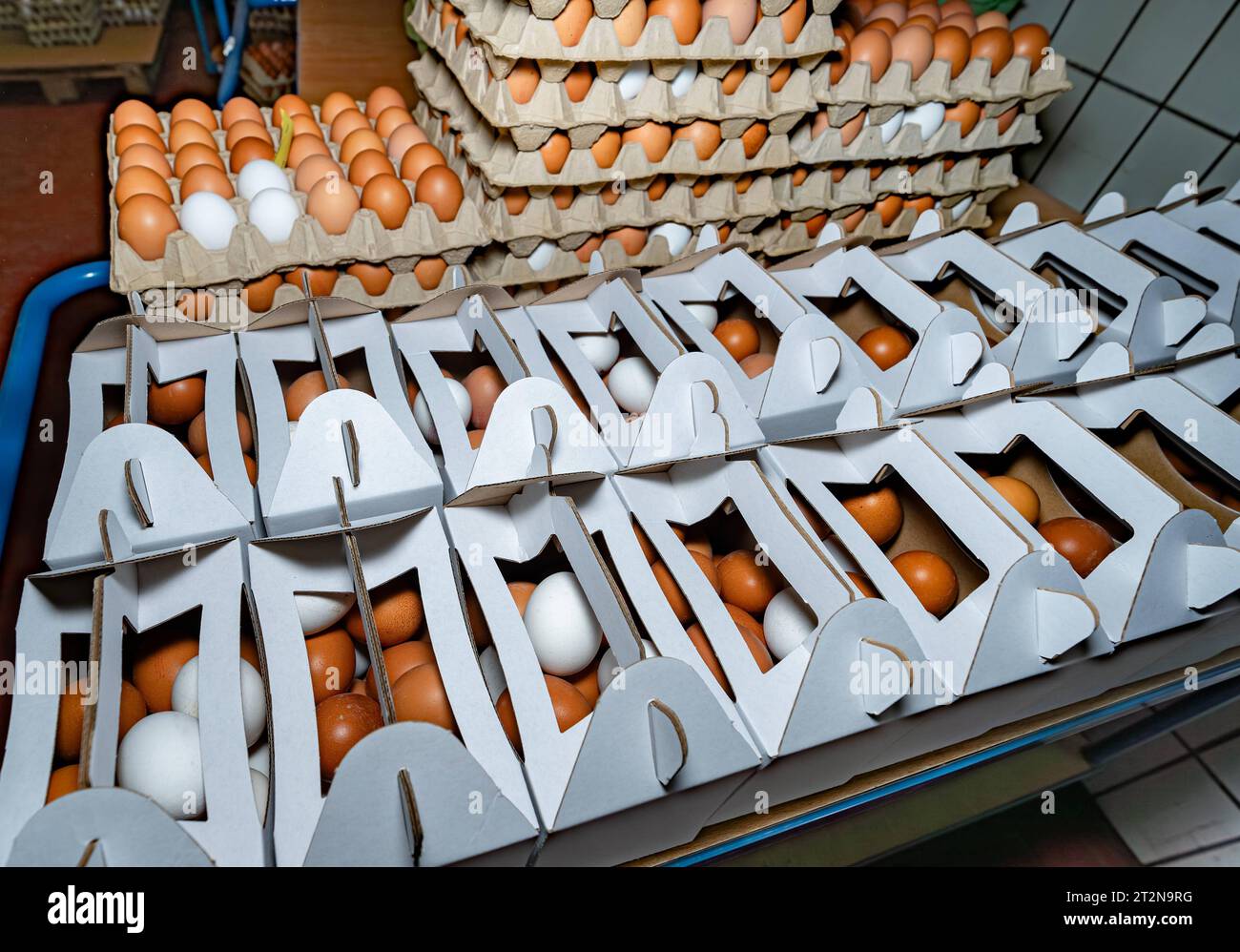 Erzeugung von Hühnereiern, gekühlter Lagerraum mit vielen gestapelten Eierkartons - Symbolfoto. Besuch bei einem Direktvermarkter von frischen Hühnereiern. Die Hühner werden teilweise in einem Hühnermobil aber auch in einem großräumig umgebauten Freilandstall gehalten und haben tagsüber viel Auslauf auf umliegenden Weideflächen. Einblick gibt es auch in den mobilen Hühnerstall und der Verpackung der frisch gelegten Eier per Handarbeit. Raum Minden-Lübbecke NRW Deutschland *** Production of chicken eggs, refrigerated storage room with many stacked egg cartons symbol photo Visit to a direct mark Stock Photo