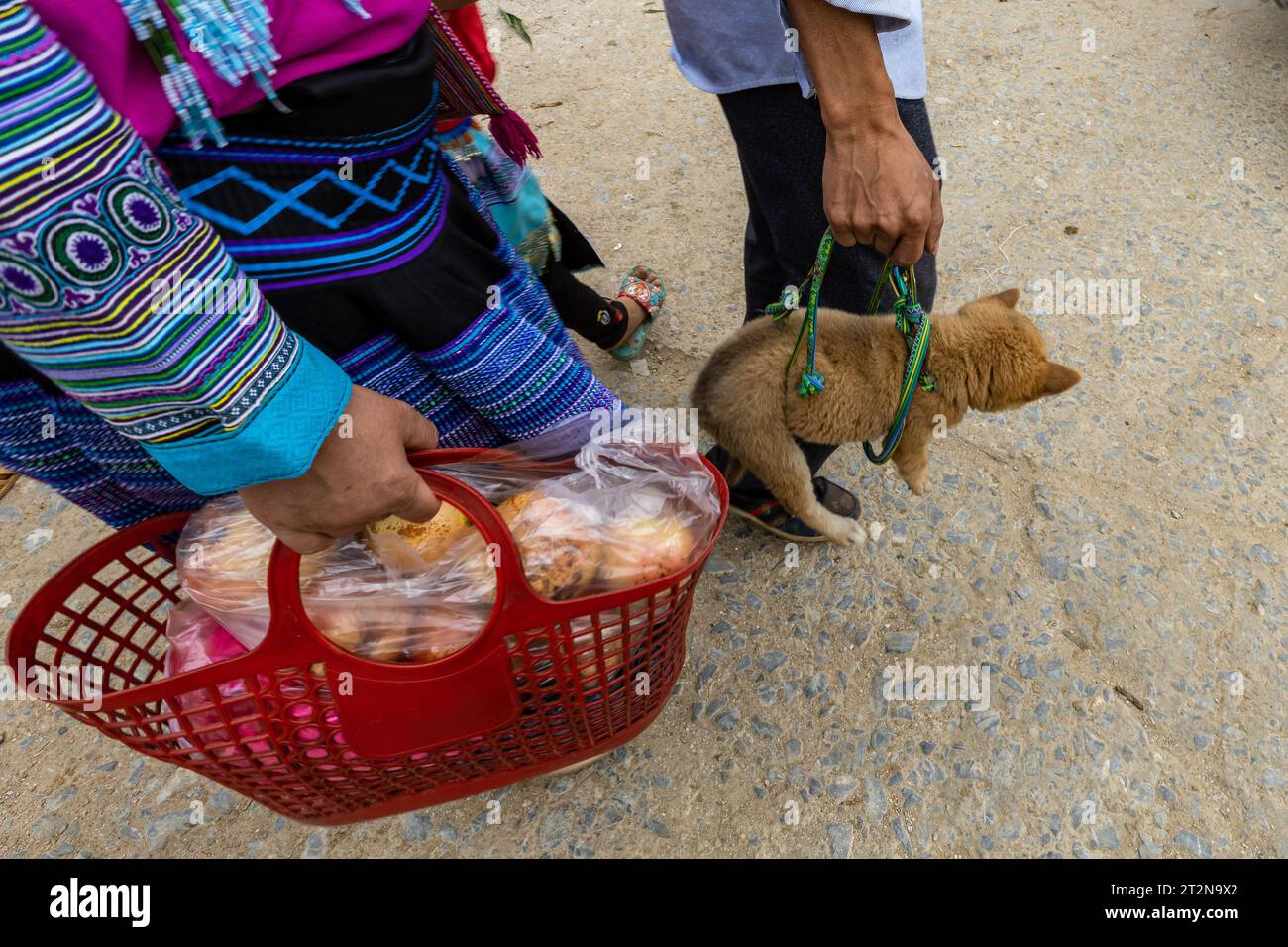 Puppies for sale at the Farmers Bac Ha Farmers Market in North Vietnam