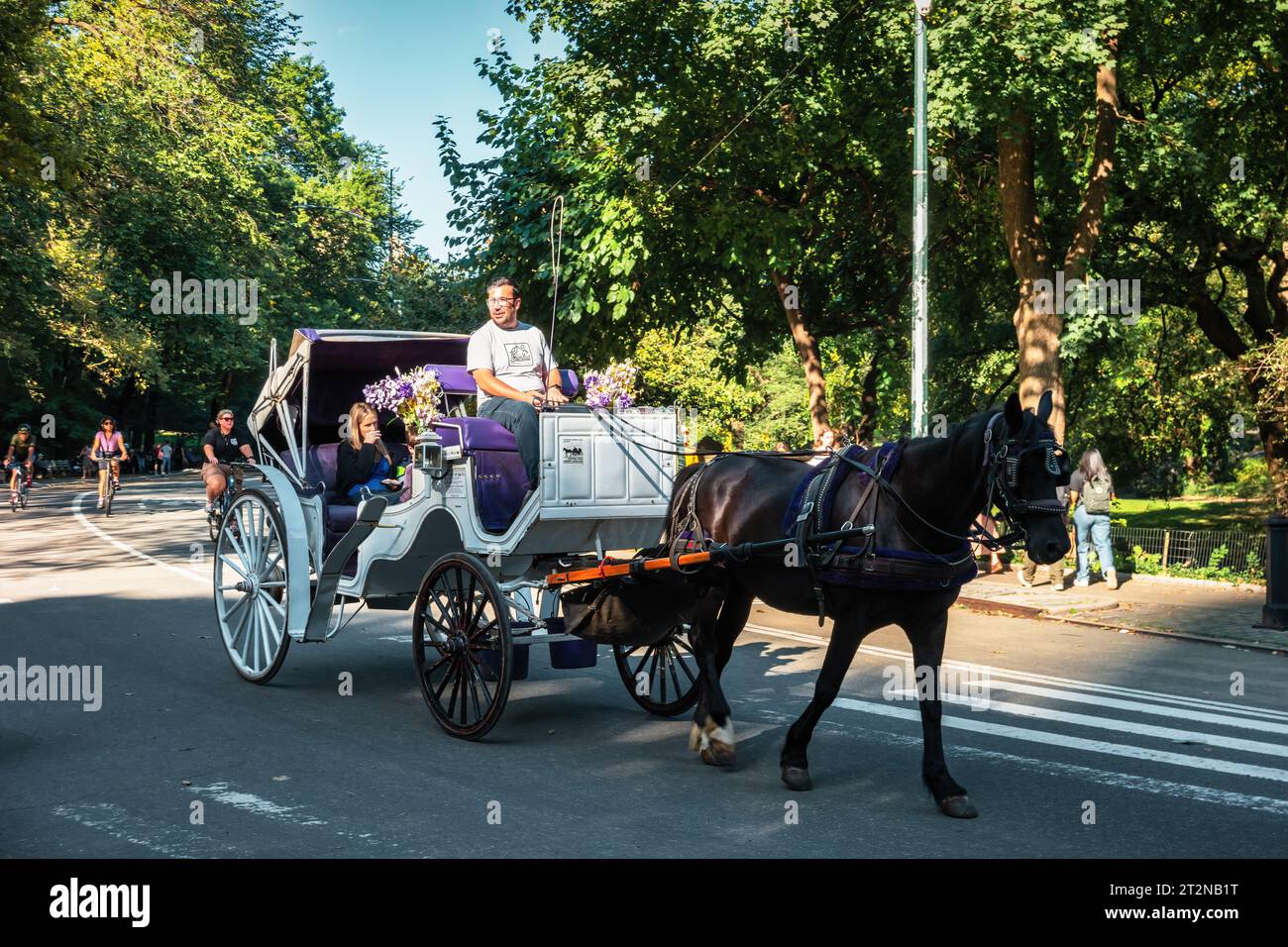 People take a horse carriage tour in Central Park, New York City. Stock Photo