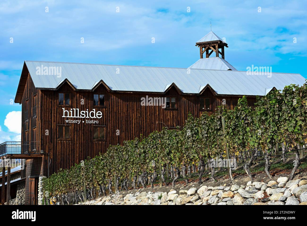 Hillside Winery, Bistro, Naramata Bench, Okanagan Valley, British Columbia, Canada Stock Photo