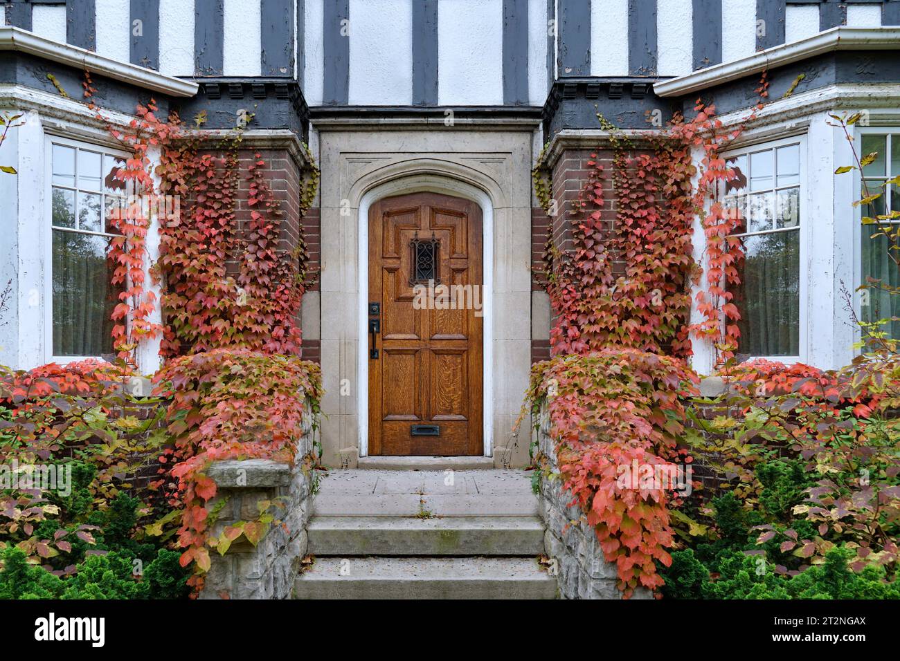 Front door of old Tudor style house surrounded by ivy Stock Photo