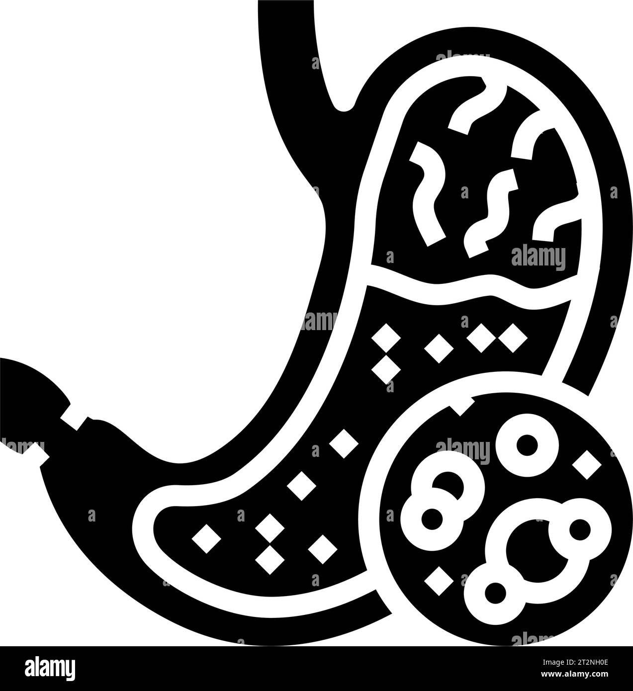 digestive enzymes gastroenterologist glyph icon vector illustration