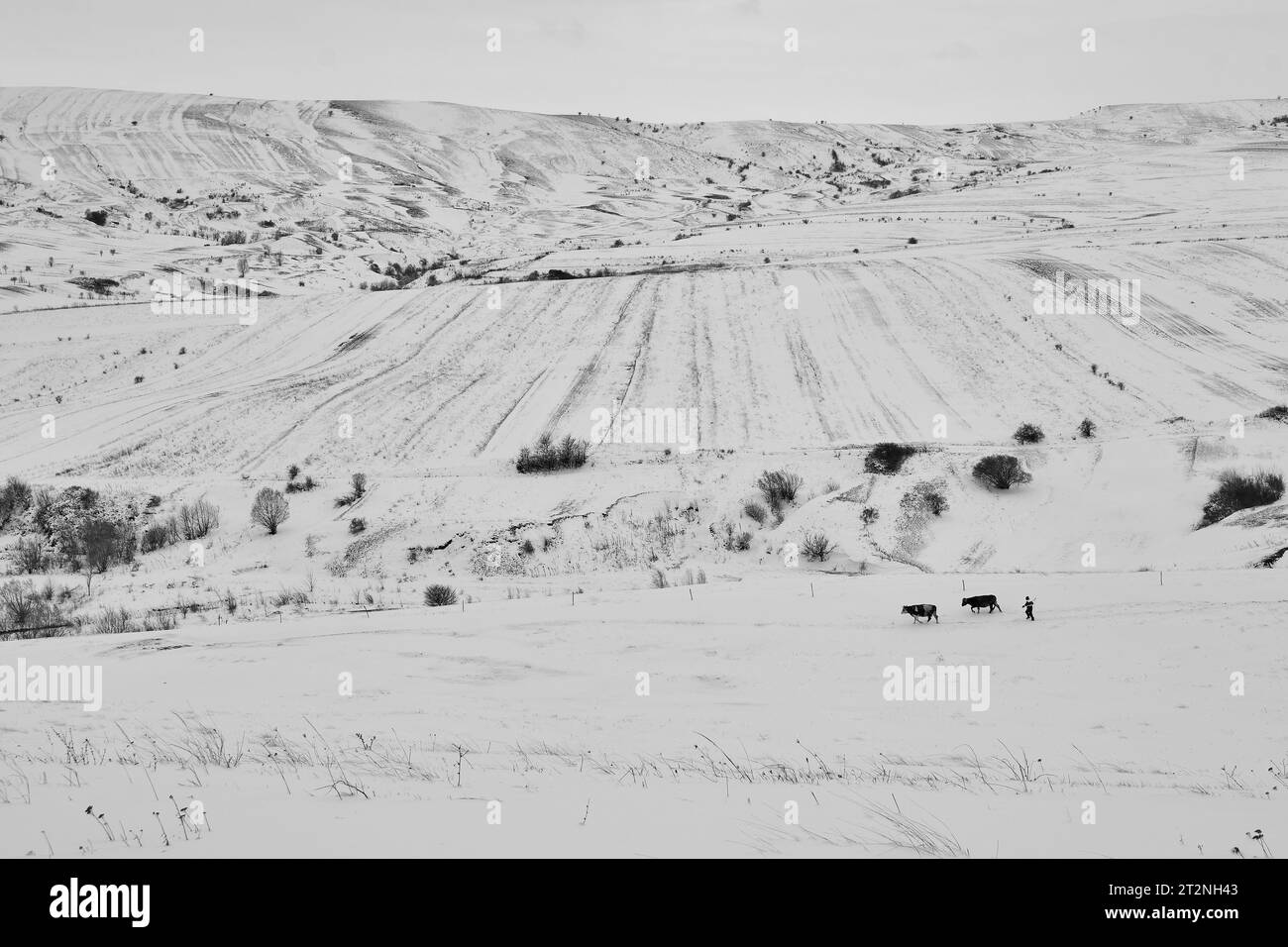 Winter landscape from the village stock photo alamy