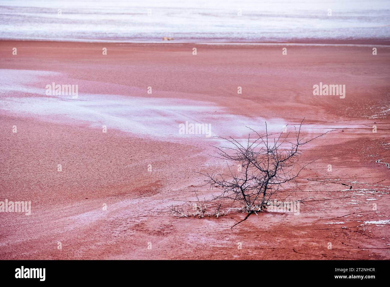 pollution with tailings from the alumina plant in Tulcea, Romania Stock Photo