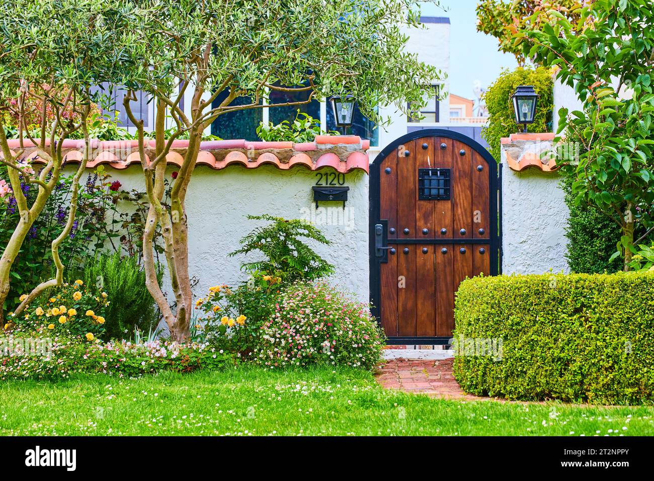 plant life around brown wooden door with black rivets and