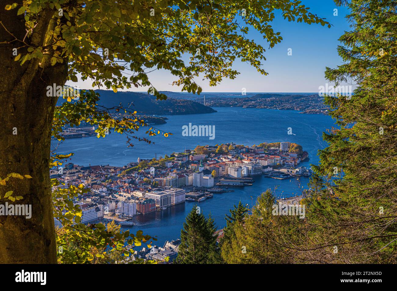 Autumn in Bergen, Norway, at mt Fløyen with a magnificent view over the city. Stock Photo