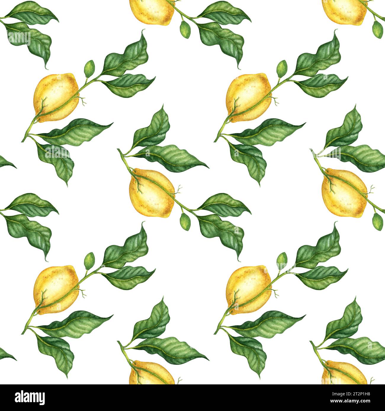 Watercolor illustration pattern of yellow lemons with green leaves ...