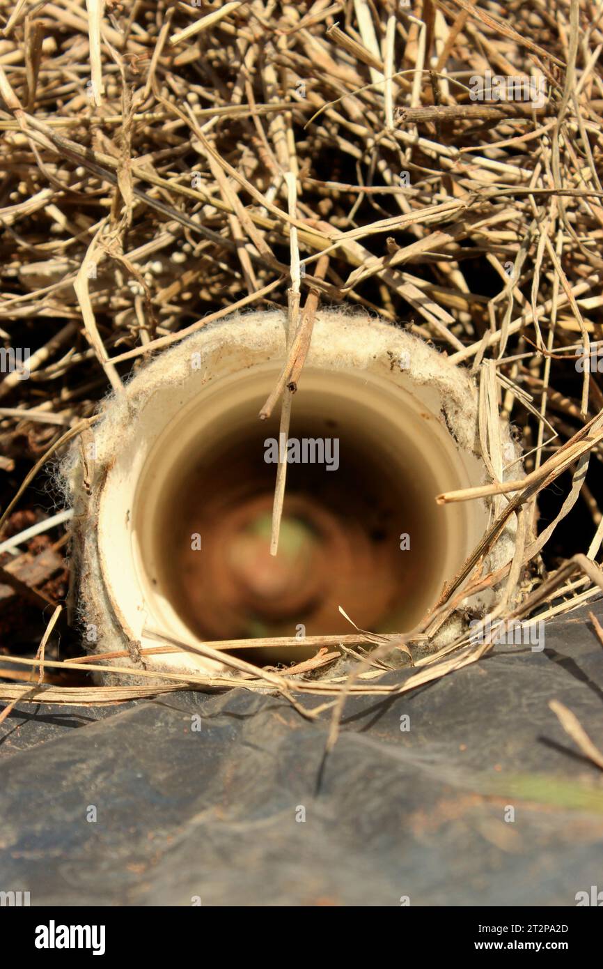 Close-up view of the drainage pipe of a composting windrow, to collect the slurry generated in the composting process of decomposing organic matter. Stock Photo