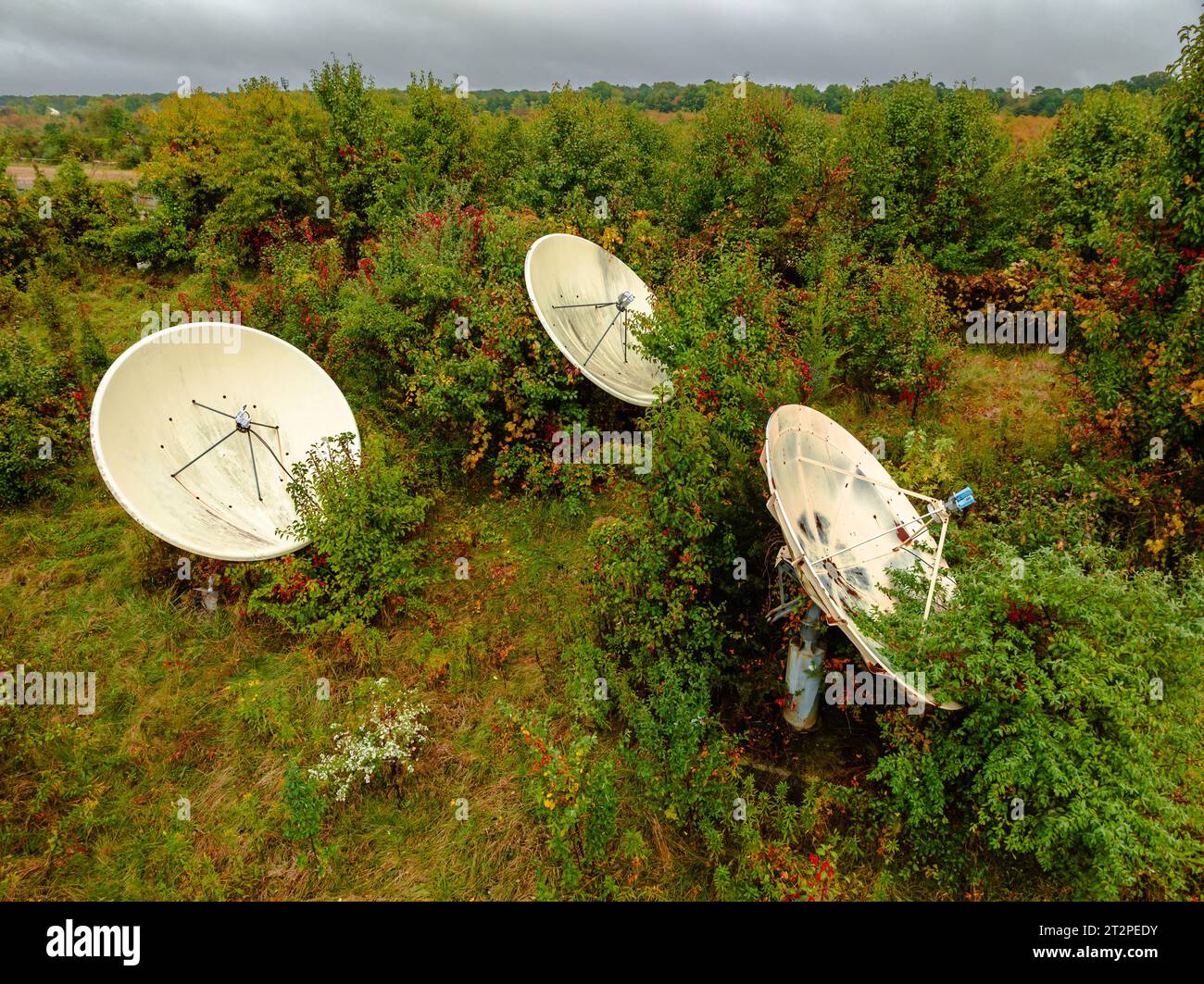 Abandoned satellite dish broadcast antenna in a field with overgrown vegetation. Stock Photo