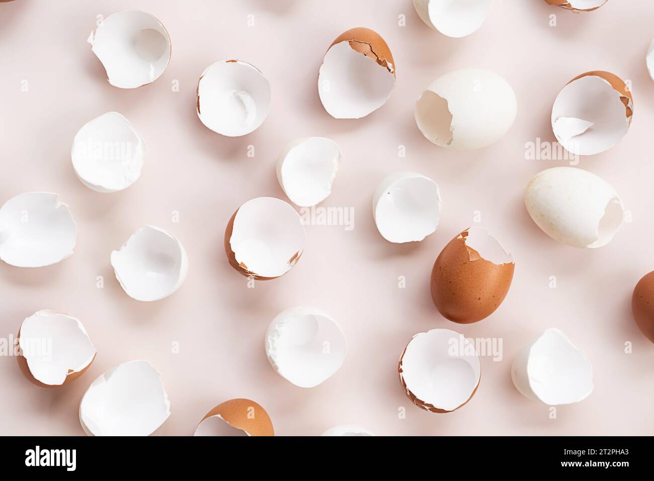 Springtime easter layout. Empty broken chicken eggshells. Stock Photo