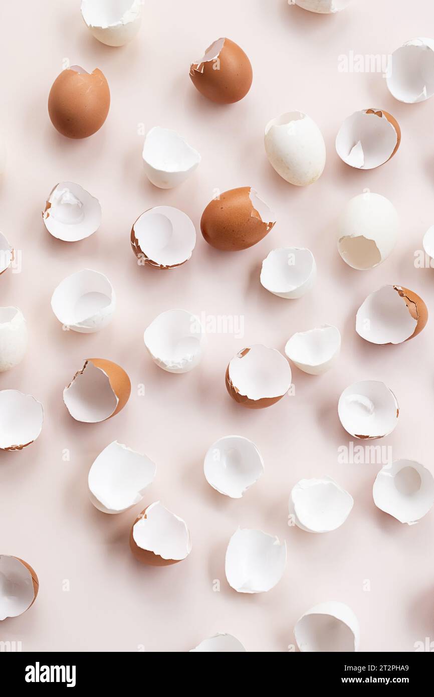Springtime easter layout. Empty broken chicken eggshells. Stock Photo