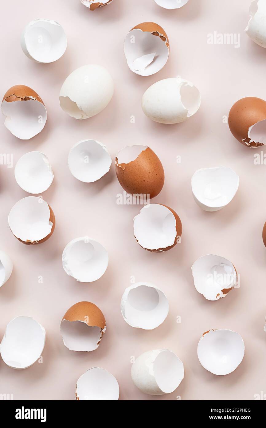 Springtime easter layout. Empty broken chicken eggshells. Stock Photo