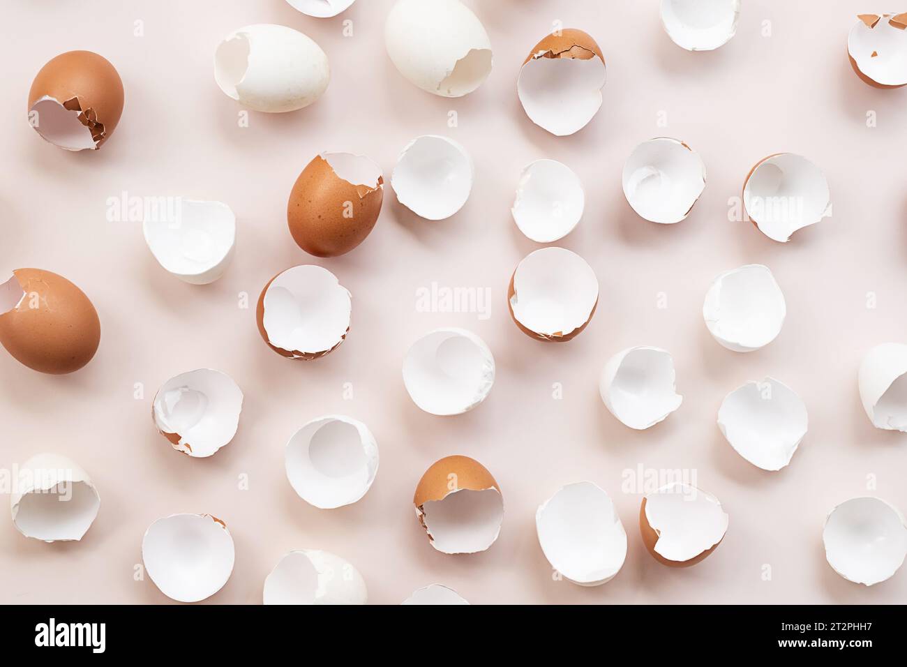 Springtime easter layout. Empty broken chicken eggshells. Stock Photo