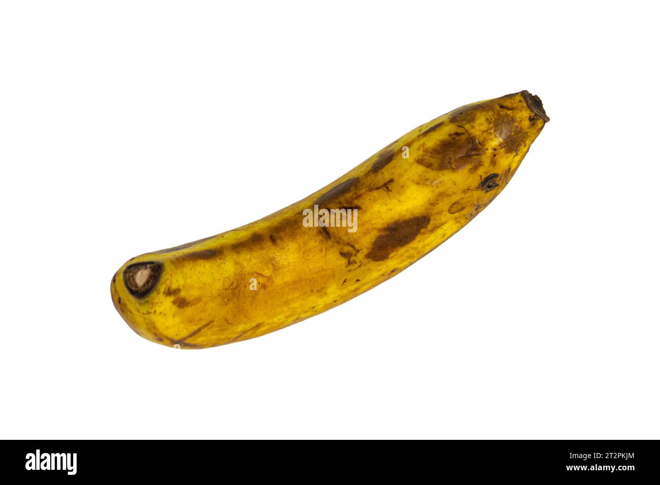 Rotten banana isolated on white background, Clipping path Stock Photo