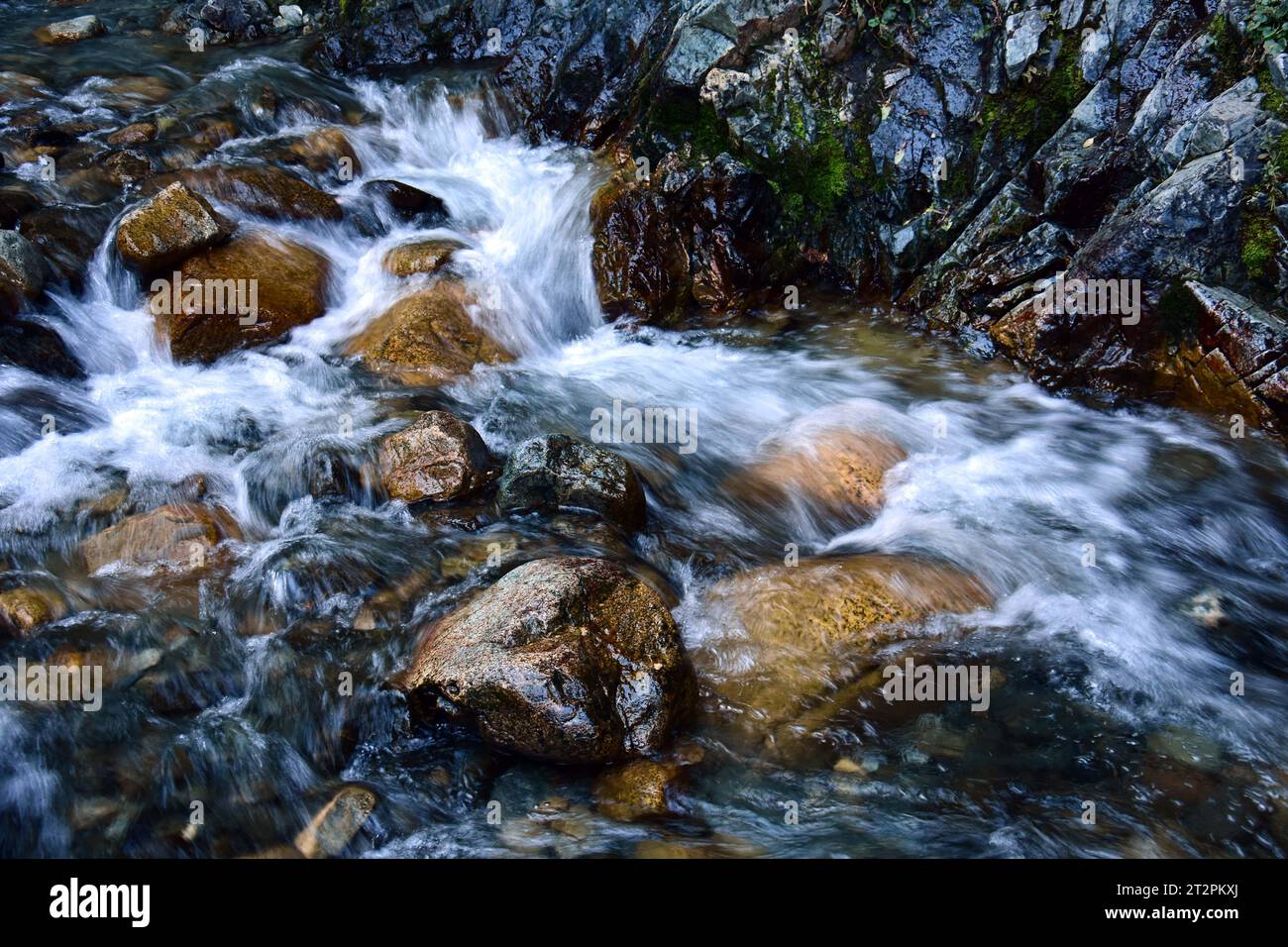 creek and boulders downstream from zapata falls in great  sand dunes national park, colorado Stock Photo