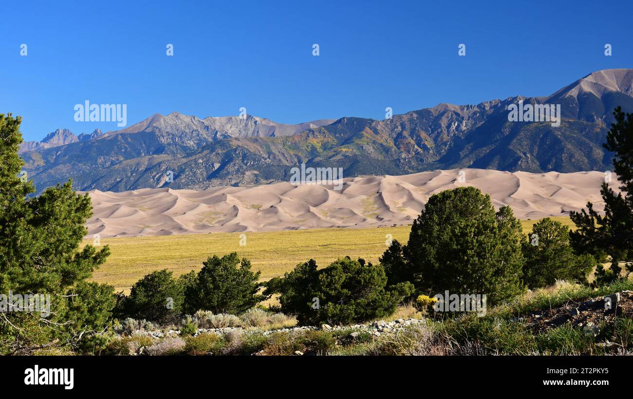 sand dunes and the san juan  mountain peaks  on a sunny day   in great sand dunes national park, near alamosa, colorado Stock Photo