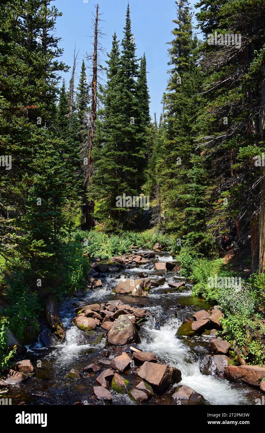 picturesque creek and boulders along the hiking trail to blue lake, in the indian peaks wilderness area, colorado Stock Photo