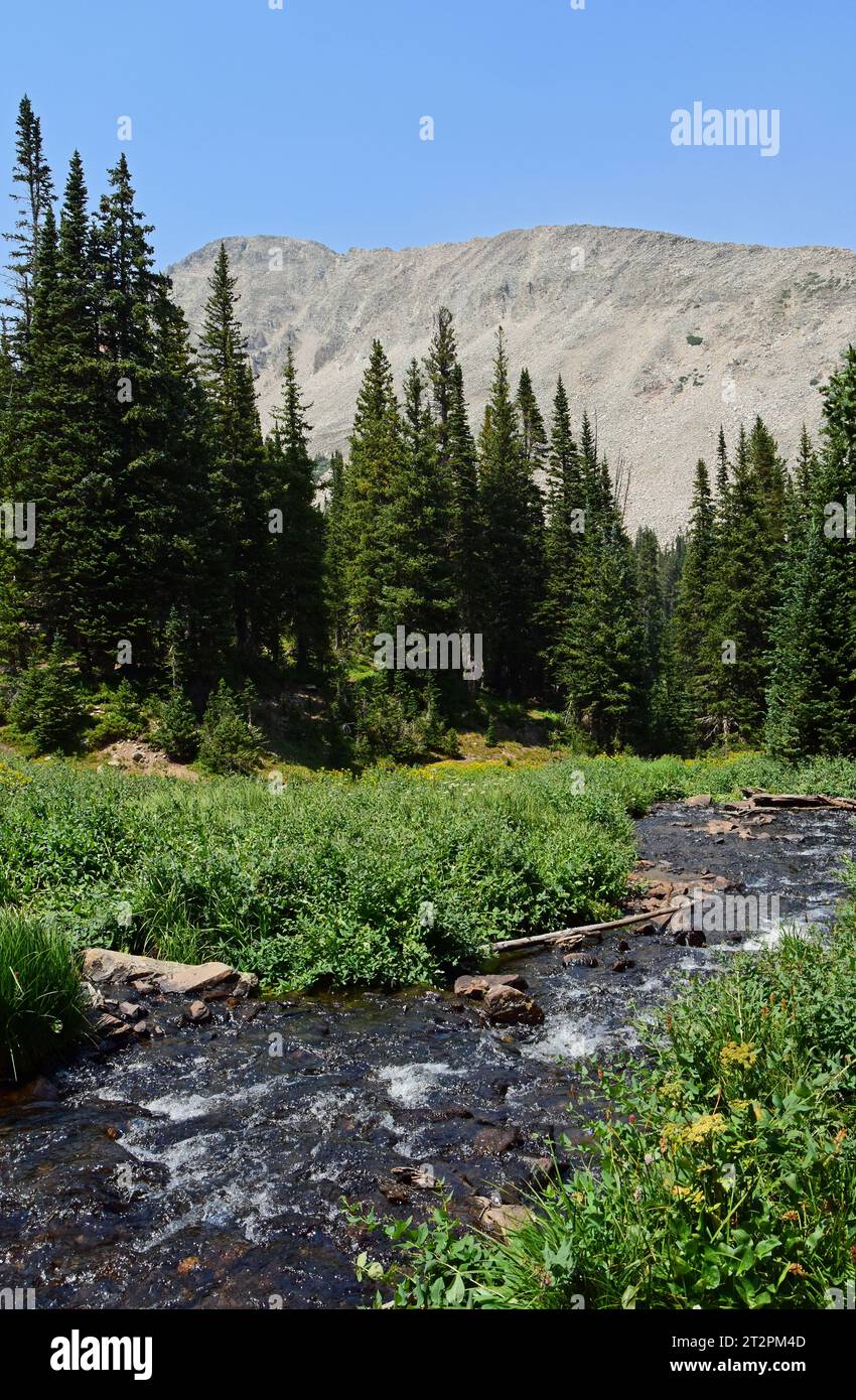 picturesque creek and mt. audobon along the hiking trail to blue lake, in the indian peaks wilderness area, colorado Stock Photo