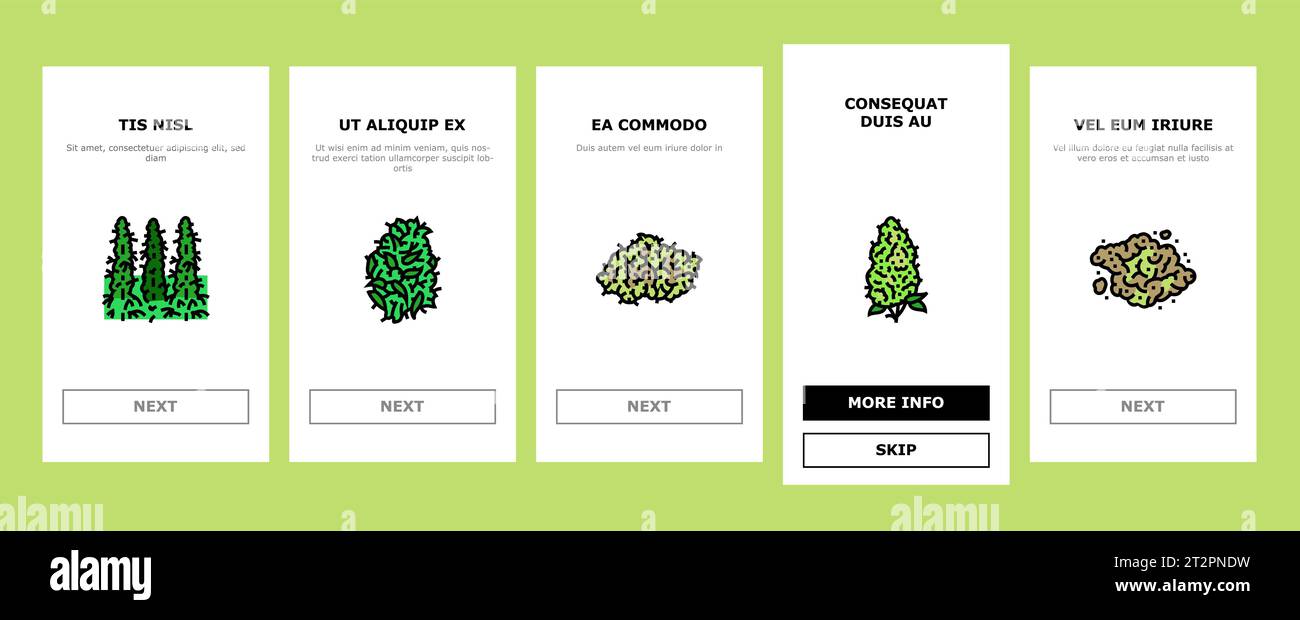 cannabis plant leaf weed hemp onboarding icons set vector Stock Vector ...