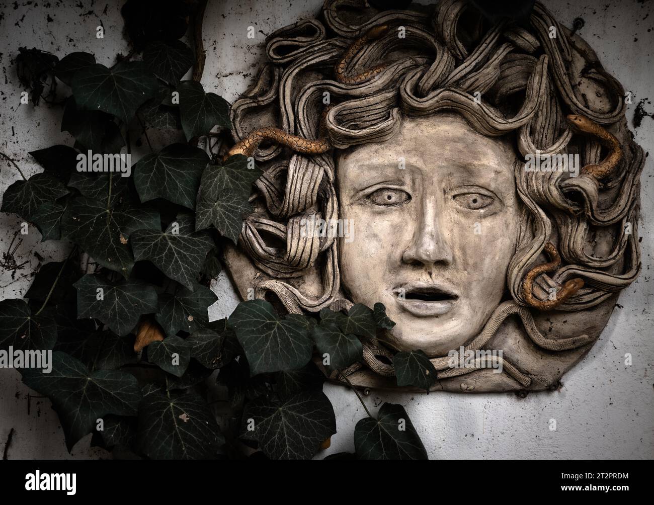 https://c8.alamy.com/comp/2T2PRDM/medusa-sculpture-in-garden-2T2PRDM.jpg