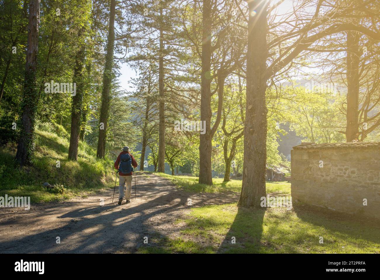 Man with backpack walking in the apennines. Santa Reparata, Modigliana, Forlì, Emilia Romagna, Italy, Europe. Stock Photo