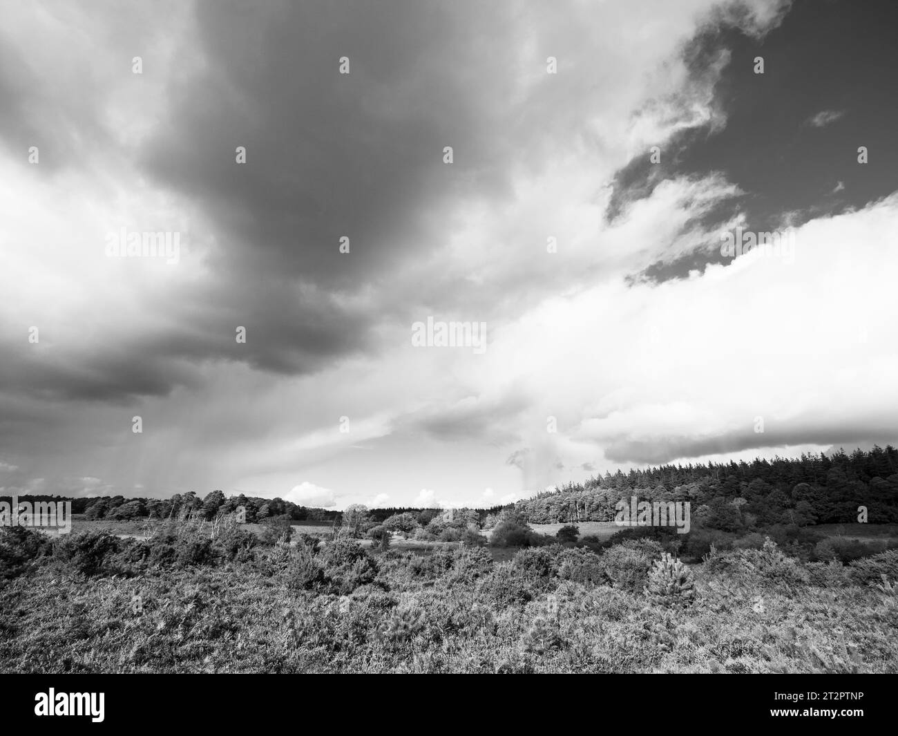 B&W, Storm Clouds and Rain, The New Forest National Park, Hampshire