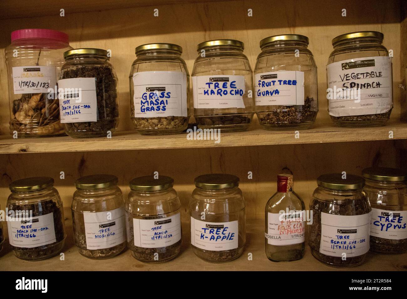 Containers with indigenous seed varieties are seen stored at a Seed ...
