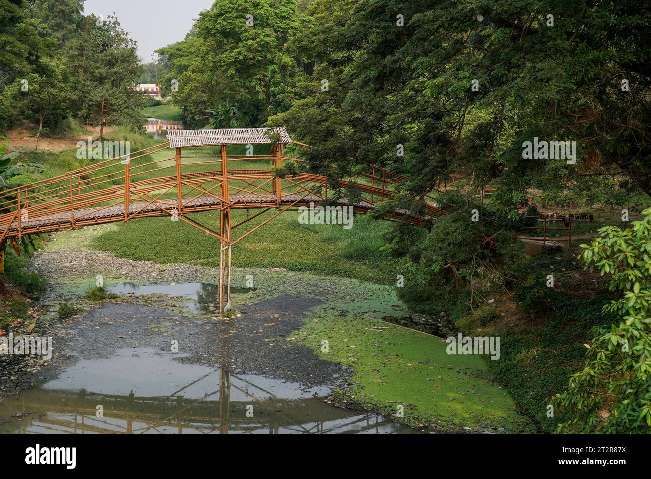 bridge for crossing made of bamboo, seen from the side with a wide angle, Stock Photo