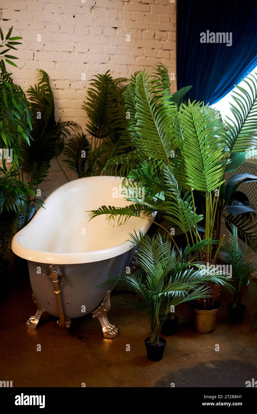 Bathtub in the hall with dark parquet floors. Palatial style. Green fresh flowers in tubs. Bath in the greenhouse Stock Photo