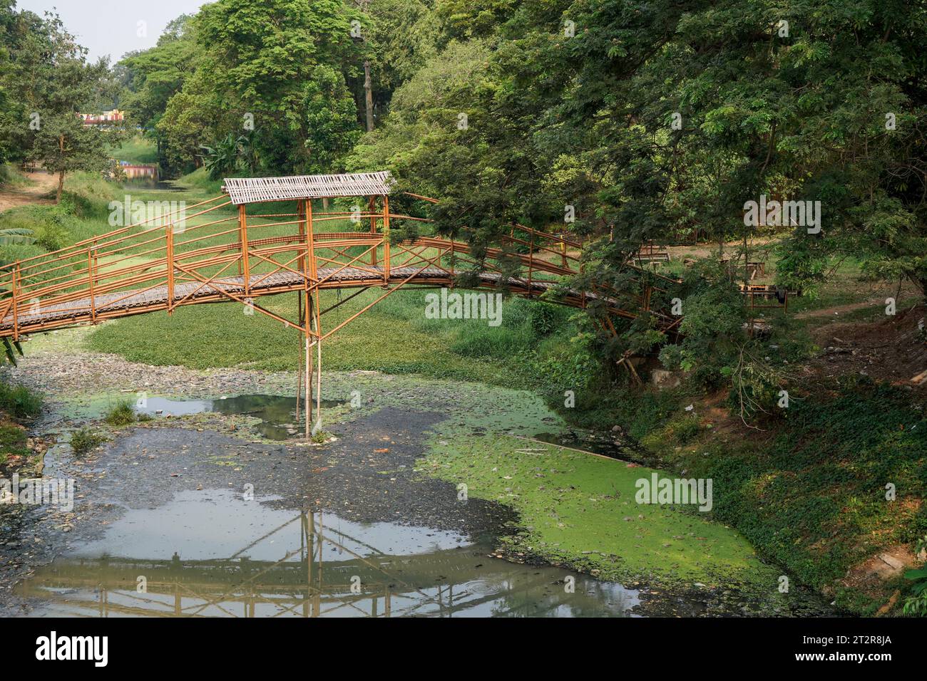 bridge for crossing made of bamboo, seen from the side with a wide angle, Stock Photo