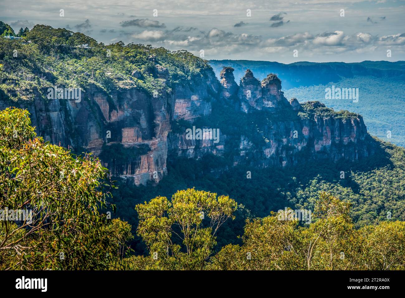 Rainforest blue mountains new hi-res stock photography and images - Alamy